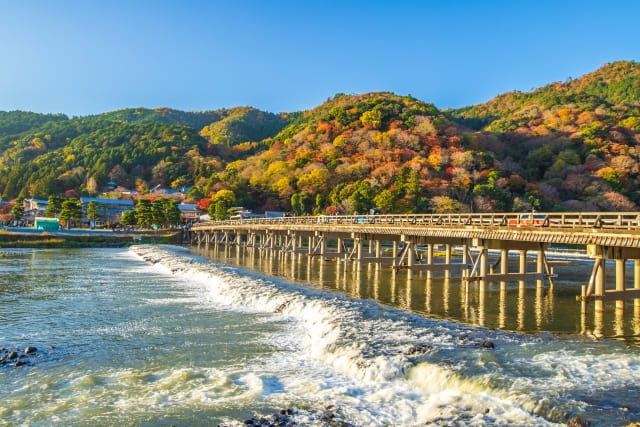 京都嵐山エリアの秋の渡月橋