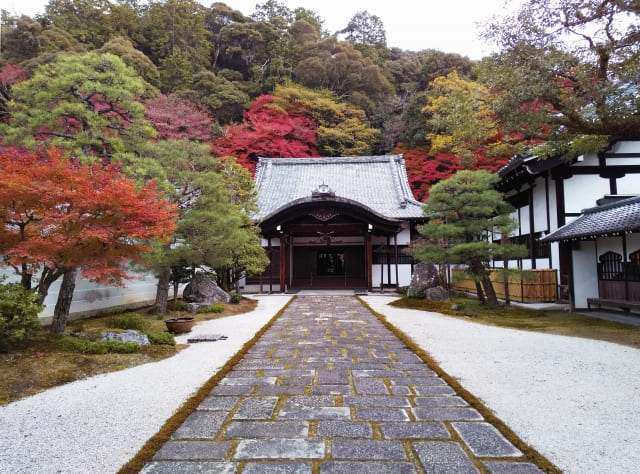 南禅寺の参道。臨済宗の大本山として、日本の禅文化を今に伝えるお寺です