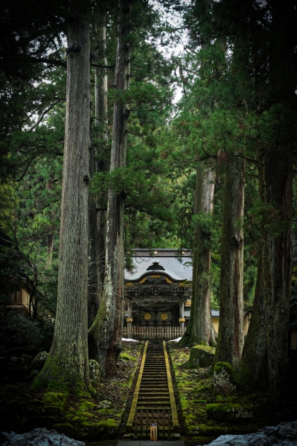 大本山永平寺の唐門と杉木立