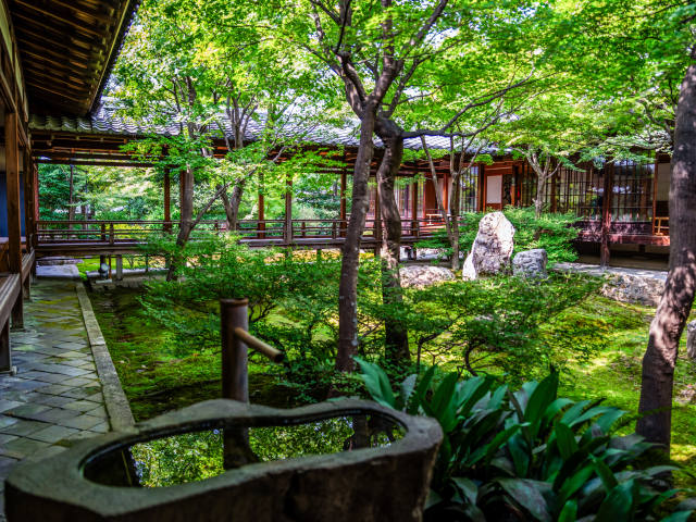 建仁寺の日本庭園